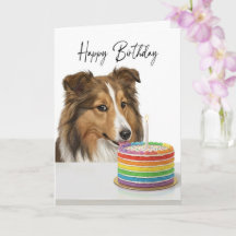 Sheltie Geburtstagskuchen-Inspektor
