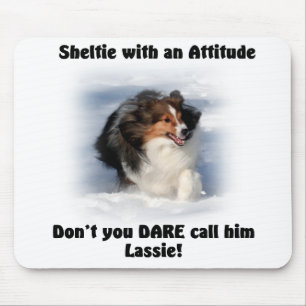 Sheltie Haltung Mousepad