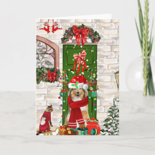 Sheltie Hund Weihnachten  Karte
