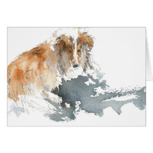 Sheltie in der Wasser-Farbe