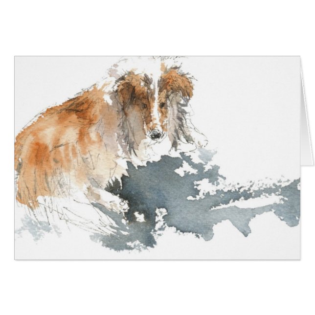 Sheltie in der Wasser-Farbe (Vorderseite (Horizontal))