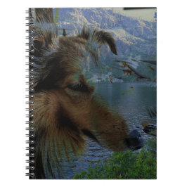 Sheltie Journal Notizblock