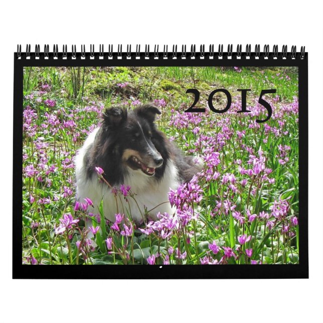 Sheltie Kalender 2015 (Titelbild)
