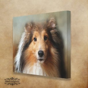 Sheltie Leinwanddruck