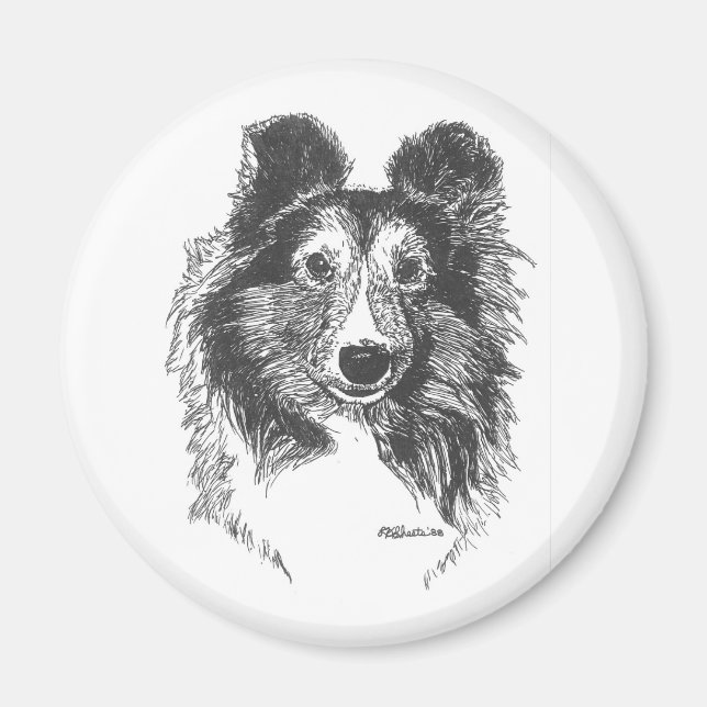 Sheltie Magnet (Vorne)
