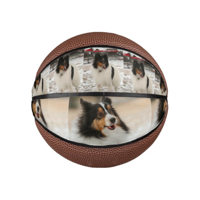 Sheltie Mini Basketball (Vorderseite)