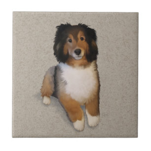Sheltie Mix Hundportrait Fliese