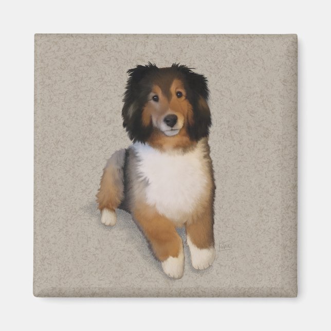 Sheltie Mix Hundportrait Magnet (Vorne)
