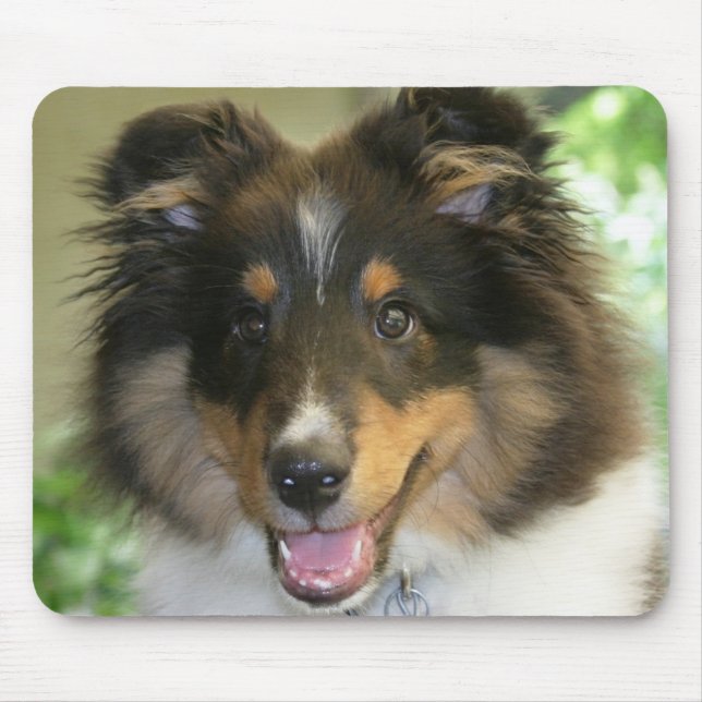 Sheltie Mousepad (Vorne)