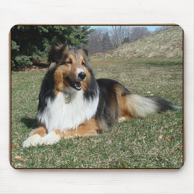 sheltie_mpad4 mousepad (Vorne)