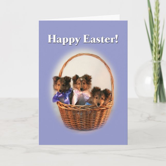 Sheltie Oaster Basket Feiertagskarte (Vorderseite)