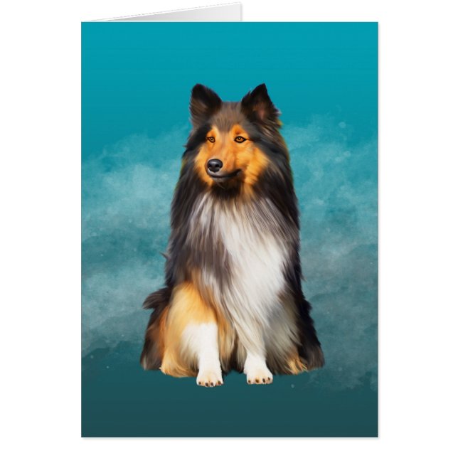 Sheltie Shetland Sheepdog (Vorne)