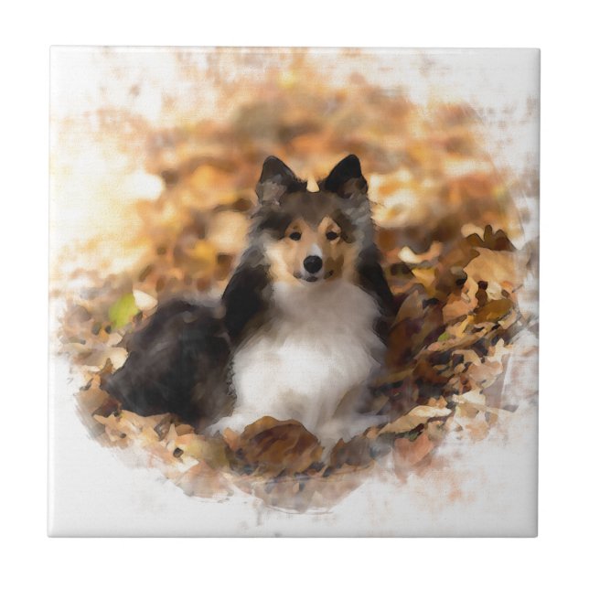 Sheltie Shetland Sheepdog Art Malerei Fliese (Vorderseite)