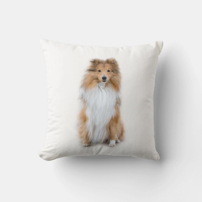 Sheltie Shetland Sheepdog Coussin (Recto)