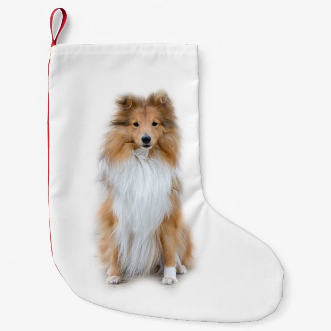 Sheltie Shetland Sheepdog Kleiner Weihnachtsstrumpf (Vorderseite)