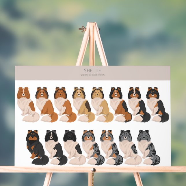 Sheltie, Shetland Sheepdog-Mischung Acrylschild (Neutral)