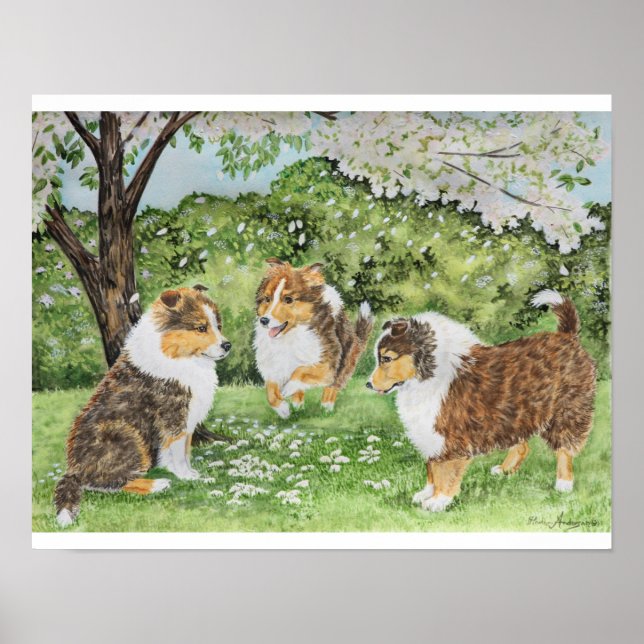 Sheltie Spring Poster (Vorne)