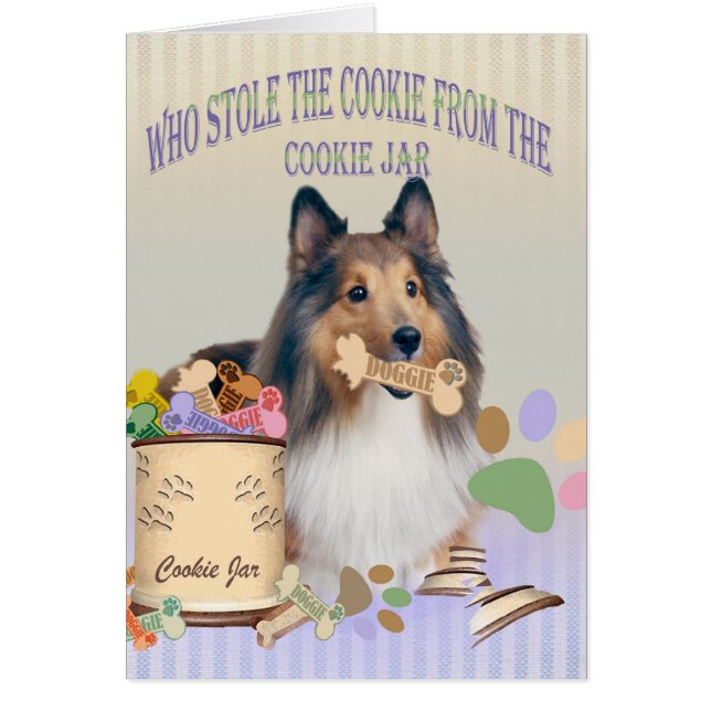 Sheltie stahl das Plätzchen von den (Vorne)