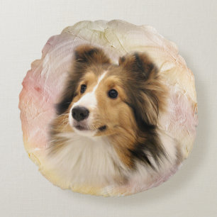 Sheltie stellen gegenüber rundes kissen
