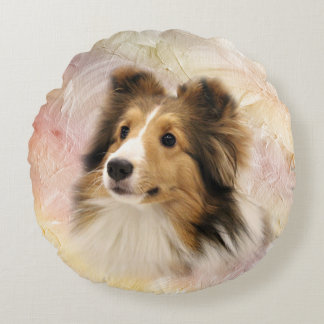 Sheltie stellen gegenüber rundes kissen