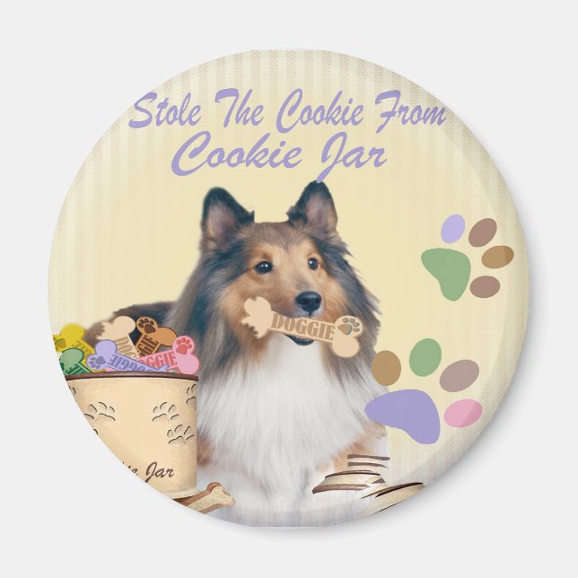 Sheltie Stole Die Keksmagnete Magnet (Vorne)