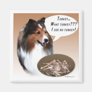Sheltie Turkey Magnet