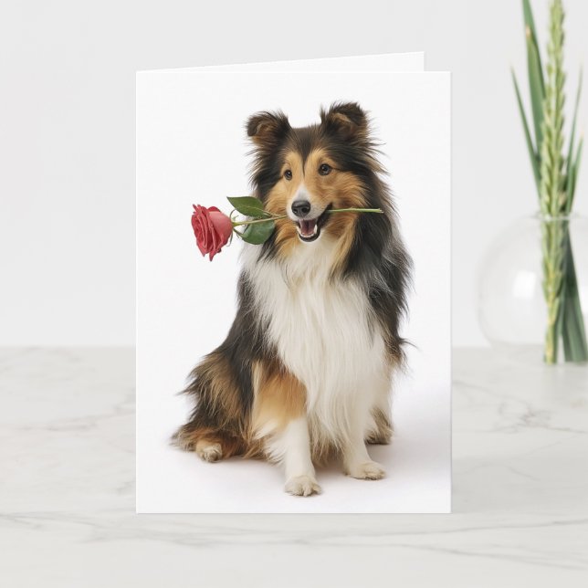 Sheltie Valentinstag Karte (Vorderseite)