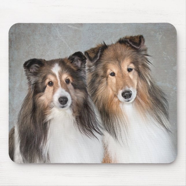 Shelties Mousepad (Vorne)