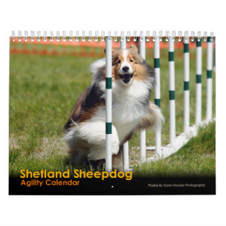 Shelties u. spinnt Agility-Kalender Kalender