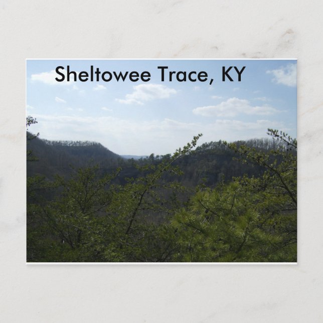 Sheltowee Trace Postkarte (Vorderseite)