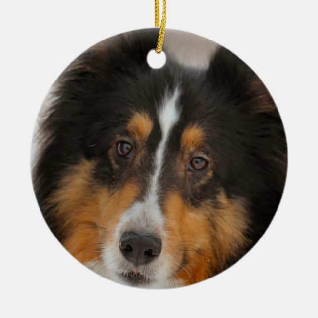 Shelty Keramik Ornament (Vorne)