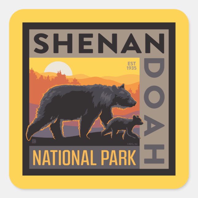 Shenandoah-Nationalpark | Mama Bear & Cubs Quadratischer Aufkleber (Vorderseite)
