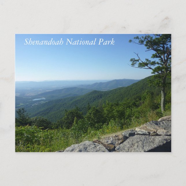Shenandoah-Nationalpark Postkarte (Vorderseite)