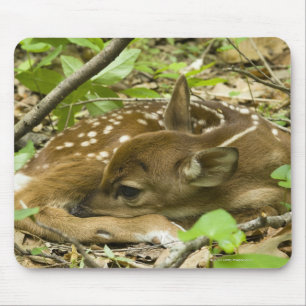 Shenandoah NP, Virginia, USA Mousepad
