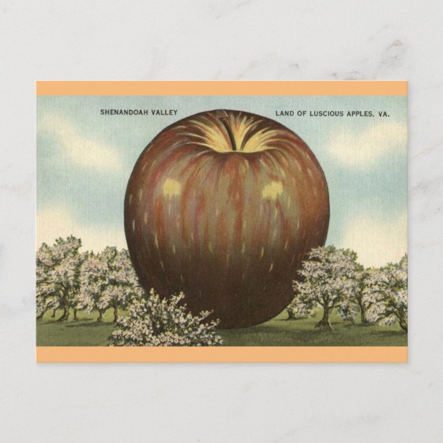Shenandoah Valley, Virginia Giant Apple Postcard Postkarte (Vorderseite)