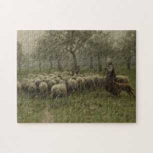 Shepherdess mit einer Menge der Schafe,