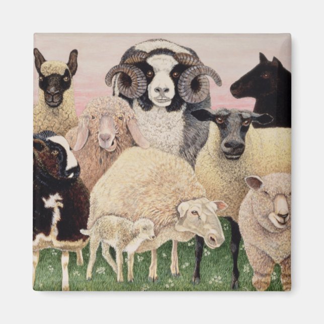 Shepherds Delight Magnet (Vorne)