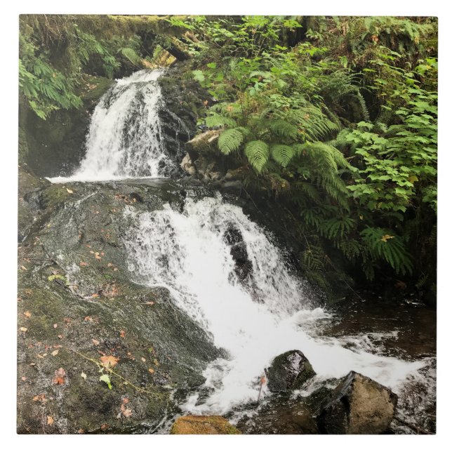 Shepperd's Dell Falls, OR Fliese (Vorderseite)