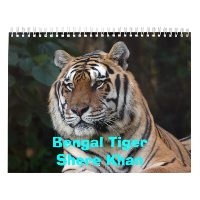 Shere-Khan Kalender, bengalisches TigerShere Khan Kalender (Titelbild)