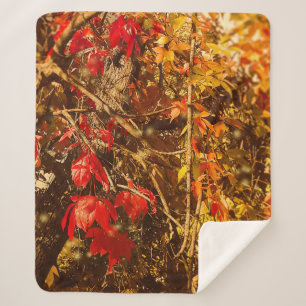 Sherpa Blanket Herbst Rote Gelbe Reben Sherpadecke