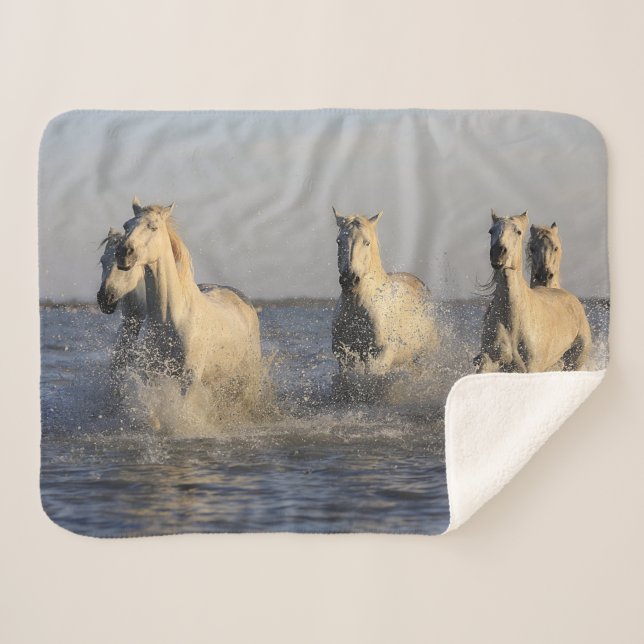 Sherpa couverture de troupeau de chevaux (Devant (Horizontal))
