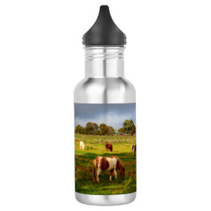 Shetland Ponies and Kastnut, 532 ml Wasserflasche