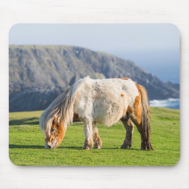 Shetland Pony auf der Alp Piazza della Riforma Mousepad (Vorne)