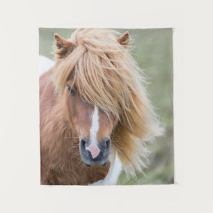 Shetland Pony auf der Insel Unst Wandteppich