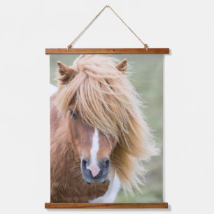 Shetland Pony auf der Insel Unst Wandteppich Mit Holzrahmen