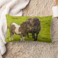 Shetland Pony Mother and Offspring