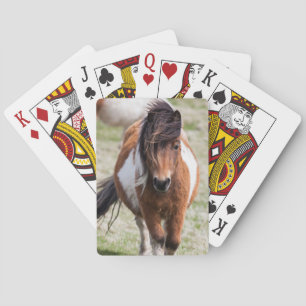 Shetland Pony, Shetland Islands Spielkarten