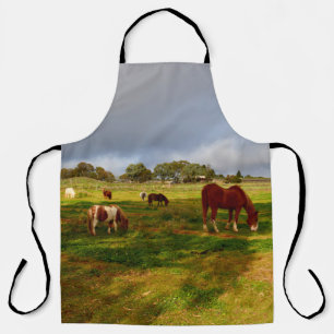 Shetland-Ponys in einem Feld, Volldruck-Schürze Schürze