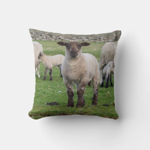 Shetland-Schaf Kissen