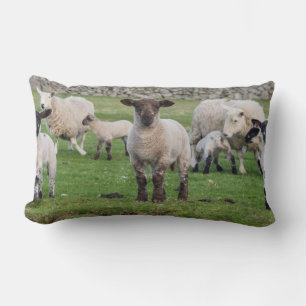 Shetland-Schaf Lendenkissen